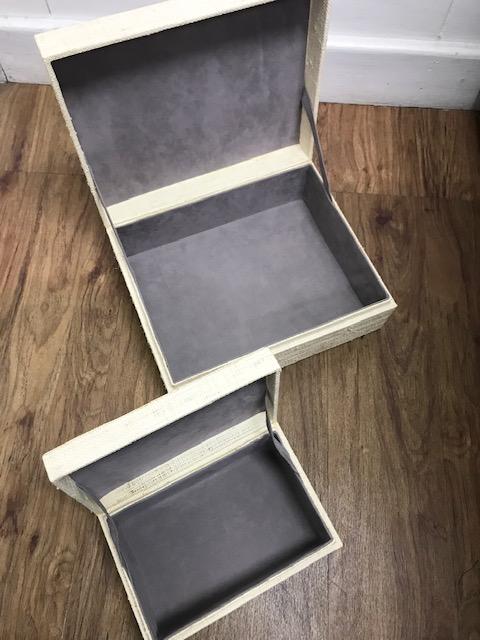 Set of 2 Adie storage boxes with natural plant fiber exterior and faux suede lining, ideal for organizing and adding style to any space.