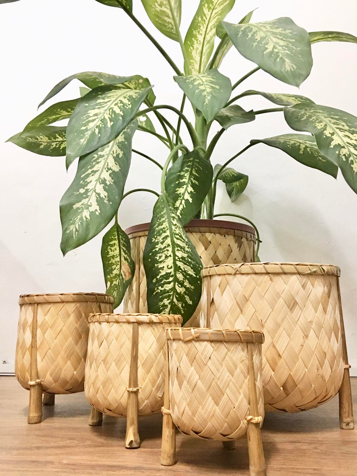 Veronica Bamboo Planters in various sizes ranging from 4” to 12” in diameter, perfect for adding natural beauty to your balcony or indoor garden.